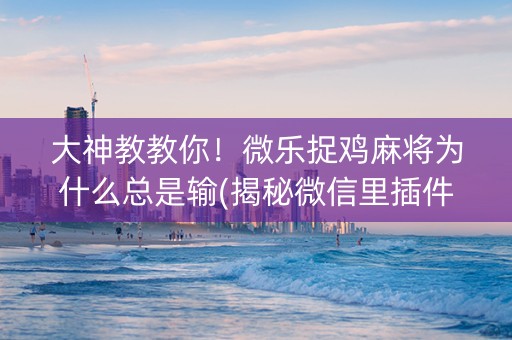 大神教教你！微乐捉鸡麻将为什么总是输(揭秘微信里插件购买)