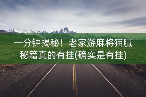 一分钟揭秘！老家游麻将猫腻秘籍真的有挂(确实是有挂)