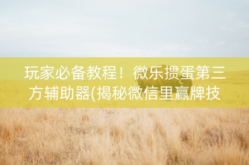 玩家必备教程！微乐掼蛋第三方辅助器(揭秘微信里赢牌技巧)