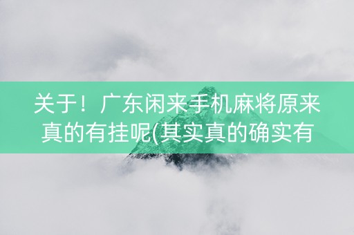 关于！广东闲来手机麻将原来真的有挂呢(其实真的确实有挂)