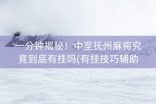 一分钟揭秘！中至抚州麻将究竟到底有挂吗(有挂技巧辅助器)