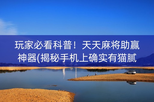 玩家必看科普！天天麻将助赢神器(揭秘手机上确实有猫腻)