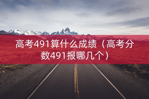 高考491算什么成绩（高考分数491报哪几个）