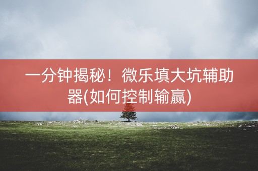 一分钟揭秘！微乐填大坑辅助器(如何控制输赢)