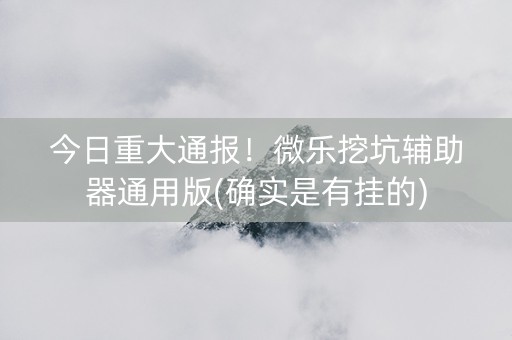 今日重大通报！微乐挖坑辅助器通用版(确实是有挂的)