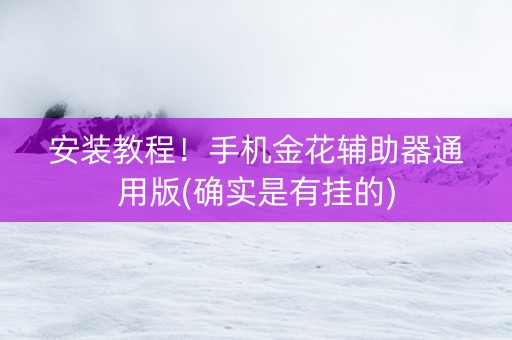 安装教程！手机金花辅助器通用版(确实是有挂的)
