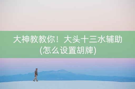 大神教教你！大头十三水辅助(怎么设置胡牌)