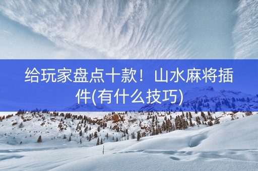 给玩家盘点十款！山水麻将插件(有什么技巧)