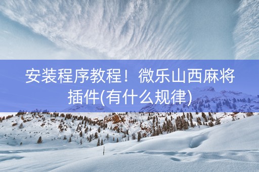 安装程序教程！微乐山西麻将插件(有什么规律)