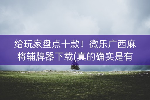 给玩家盘点十款！微乐广西麻将辅牌器下载(真的确实是有挂)