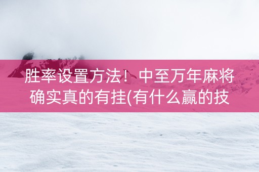 胜率设置方法！中至万年麻将确实真的有挂(有什么赢的技巧)