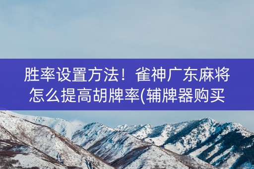 胜率设置方法！雀神广东麻将怎么提高胡牌率(辅牌器购买)