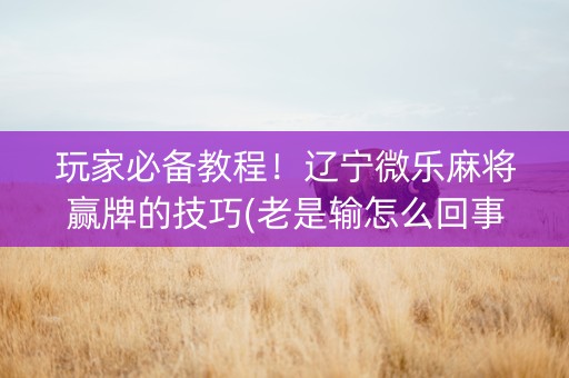玩家必备教程！辽宁微乐麻将赢牌的技巧(老是输怎么回事)