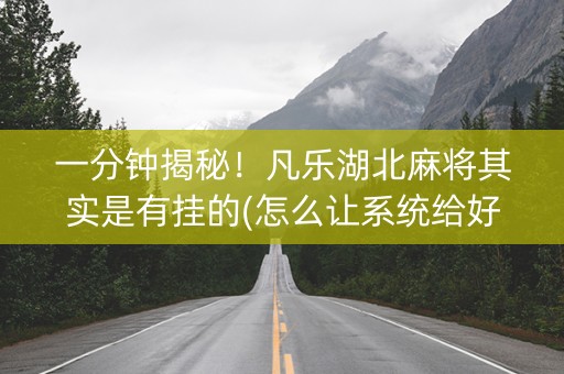 一分钟揭秘！凡乐湖北麻将其实是有挂的(怎么让系统给好牌)