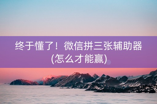 终于懂了！微信拼三张辅助器(怎么才能赢)