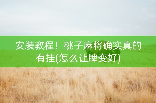 安装教程！桃子麻将确实真的有挂(怎么让牌变好)