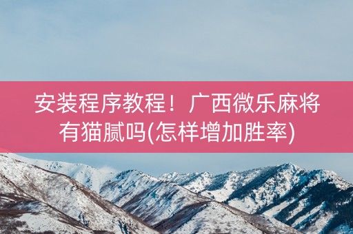 安装程序教程！广西微乐麻将有猫腻吗(怎样增加胜率)