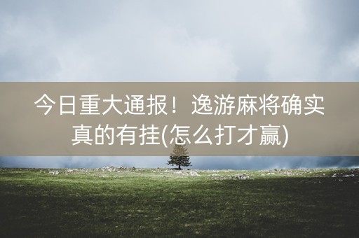 今日重大通报！逸游麻将确实真的有挂(怎么打才赢)