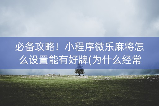 必备攻略！小程序微乐麻将怎么设置能有好牌(为什么经常输)