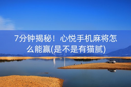 7分钟揭秘！心悦手机麻将怎么能赢(是不是有猫腻)