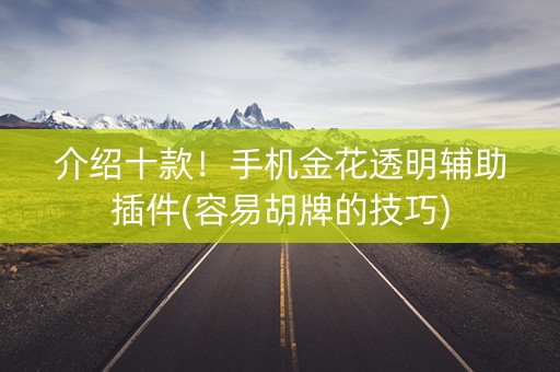 介绍十款！手机金花透明辅助插件(容易胡牌的技巧)