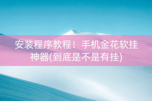 安装程序教程！手机金花软挂神器(到底是不是有挂)