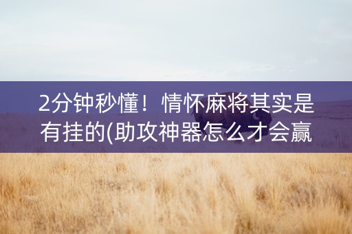 2分钟秒懂！情怀麻将其实是有挂的(助攻神器怎么才会赢)