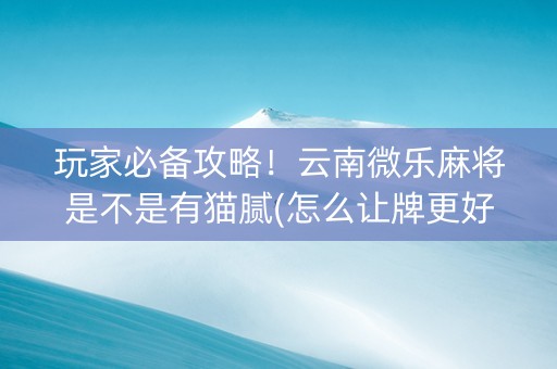 玩家必备攻略！云南微乐麻将是不是有猫腻(怎么让牌更好)