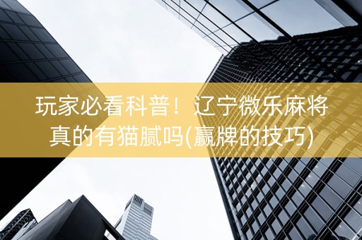 玩家必看科普！辽宁微乐麻将真的有猫腻吗(赢牌的技巧)
