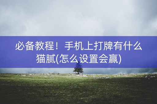 必备教程！手机上打牌有什么猫腻(怎么设置会赢)