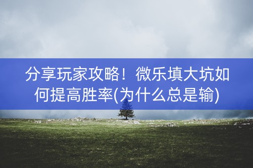 分享玩家攻略！微乐填大坑如何提高胜率(为什么总是输)