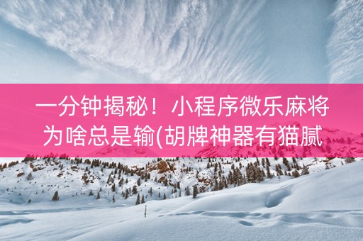 一分钟揭秘！小程序微乐麻将为啥总是输(胡牌神器有猫腻吗)