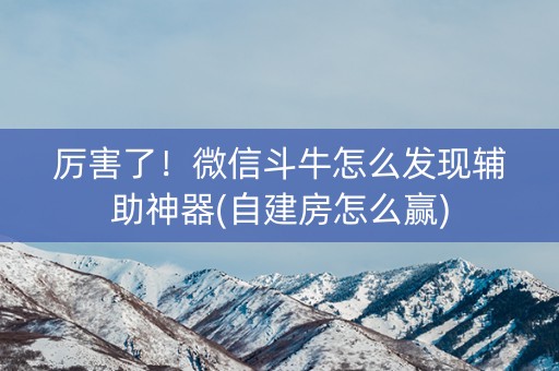 厉害了！微信斗牛怎么发现辅助神器(自建房怎么赢)