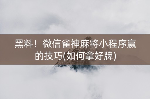 黑料！微信雀神麻将小程序赢的技巧(如何拿好牌)