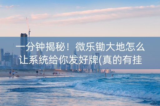 一分钟揭秘！微乐锄大地怎么让系统给你发好牌(真的有挂确实有挂)