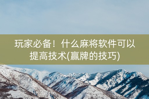 玩家必备！什么麻将软件可以提高技术(赢牌的技巧)
