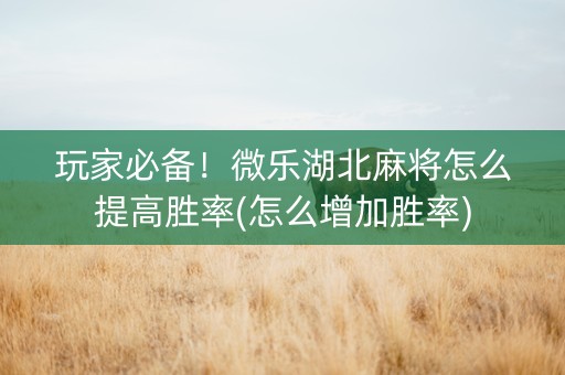 玩家必备！微乐湖北麻将怎么提高胜率(怎么增加胜率)