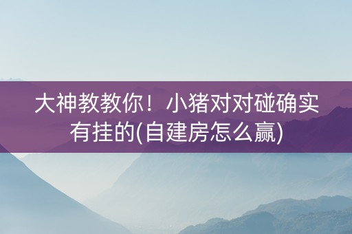 大神教教你！小猪对对碰确实有挂的(自建房怎么赢)