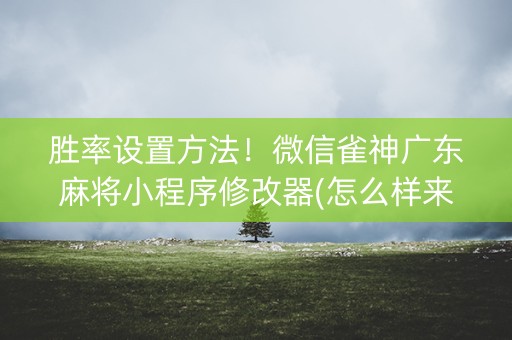 胜率设置方法！微信雀神广东麻将小程序修改器(怎么样来好牌)