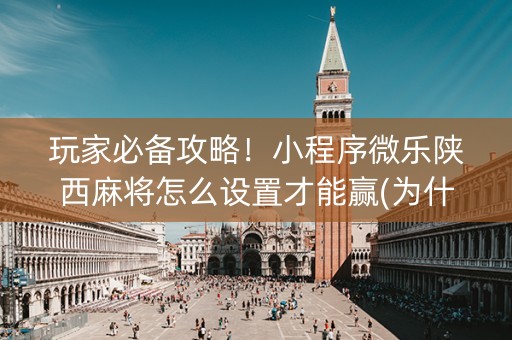 玩家必备攻略！小程序微乐陕西麻将怎么设置才能赢(为什么经常输)