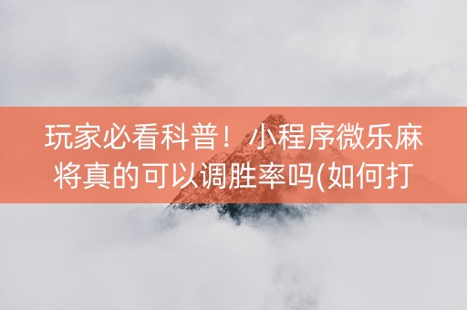 玩家必看科普！小程序微乐麻将真的可以调胜率吗(如何打赢有插件吗)