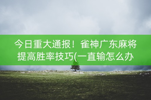 今日重大通报！雀神广东麻将提高胜率技巧(一直输怎么办)
