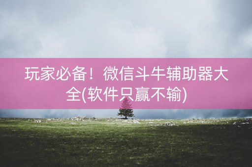 玩家必备！微信斗牛辅助器大全(软件只赢不输)
