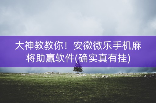 大神教教你！安徽微乐手机麻将助赢软件(确实真有挂)