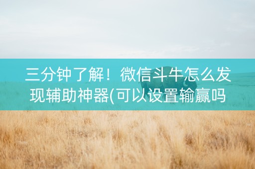 三分钟了解！微信斗牛怎么发现辅助神器(可以设置输赢吗)
