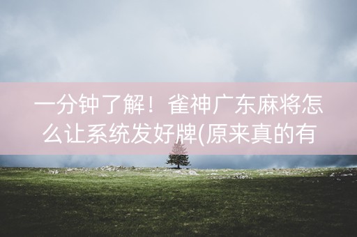 一分钟了解！雀神广东麻将怎么让系统发好牌(原来真的有挂)