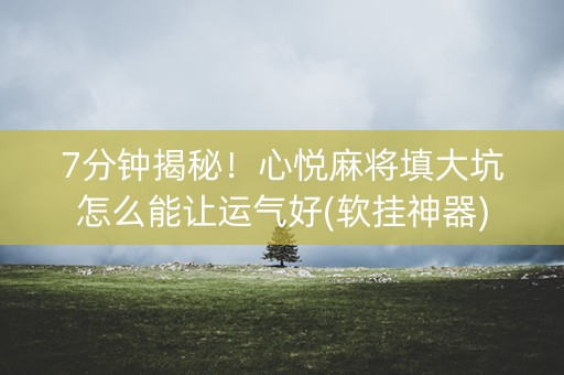 7分钟揭秘！心悦麻将填大坑怎么能让运气好(软挂神器)