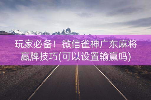 玩家必备！微信雀神广东麻将赢牌技巧(可以设置输赢吗)