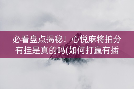 必看盘点揭秘！心悦麻将拍分有挂是真的吗(如何打赢有插件吗)