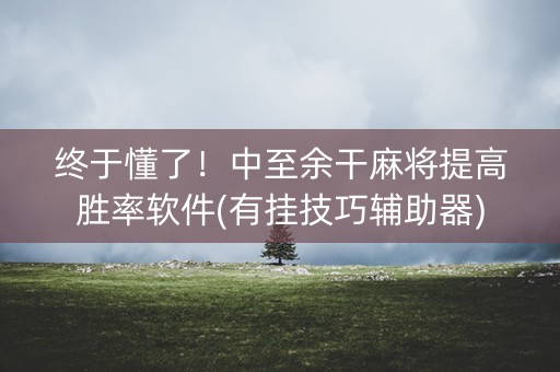 终于懂了！中至余干麻将提高胜率软件(有挂技巧辅助器)